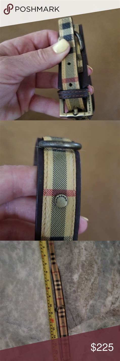 burberry stuffed bear|authentic Burberry dog collars.